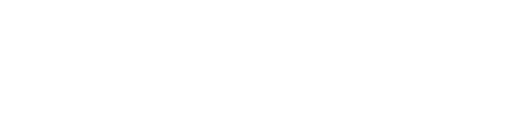 logo-ndigoff